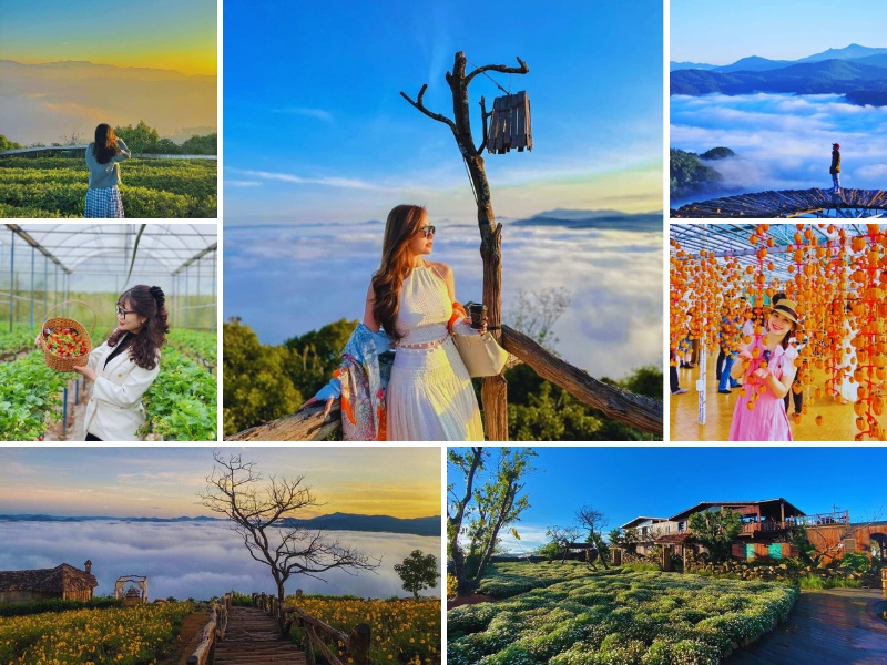 Tour săn mây ở Đà Lạt