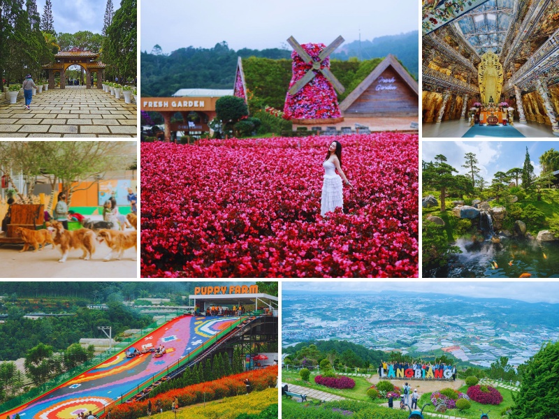 Tour Hà Nội Đà Lạt 4 ngày 3 đêm