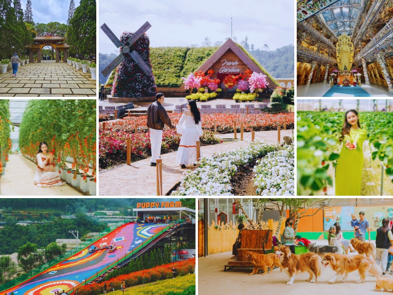 tour Sài Gòn Đà Lạt 3 ngày 2 đêm