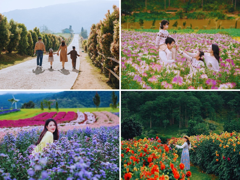 Tour từ Nha Trang đi Đà Lạt 2 ngày 1 đêm