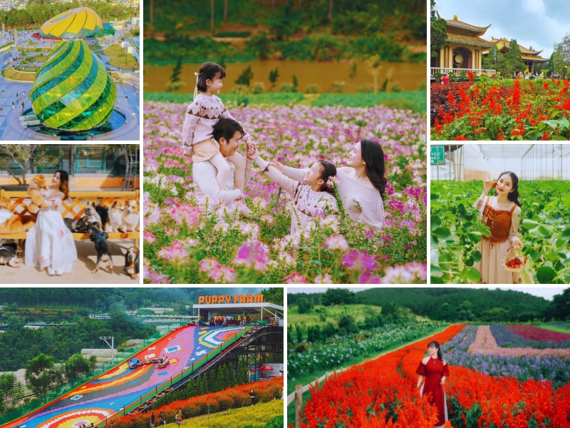 Tour du lịch Nha Trang Đà Lạt 1 ngày