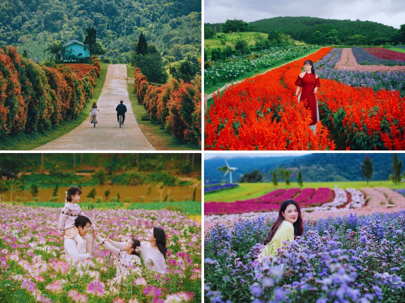 Tour Nha Trang Đà Lạt trong ngày