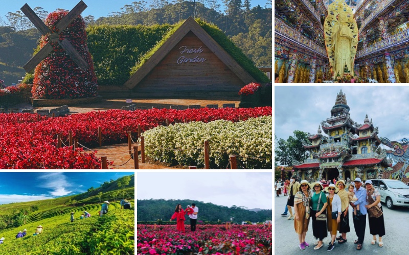 tour du lịch Sài Gòn Đà Lạt cho gia đình