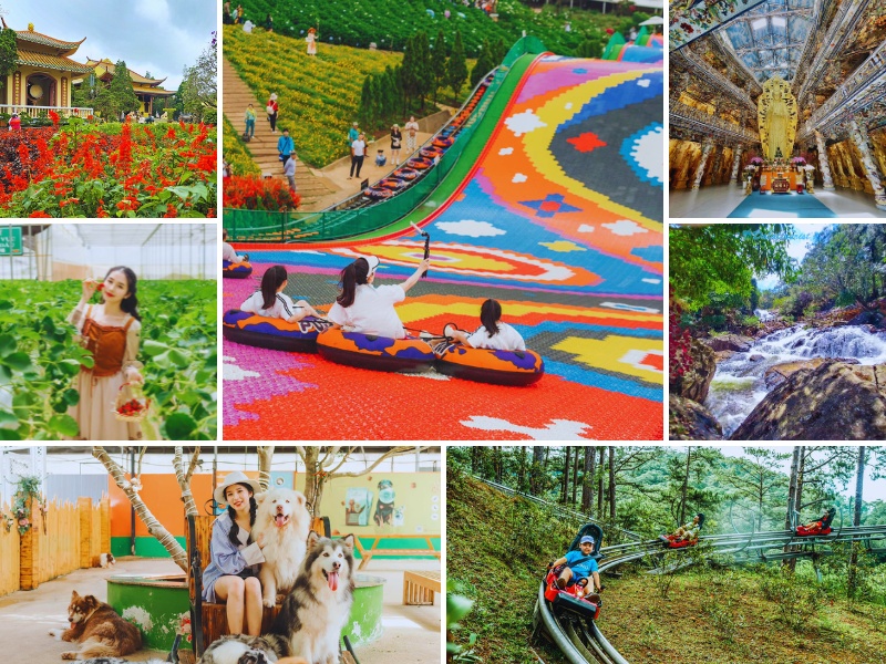 tour Đà Nẵng Đà Lạt 4 ngày 3 đêm