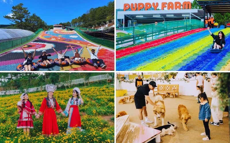 tour Sài Gòn Đà Lạt máy bay