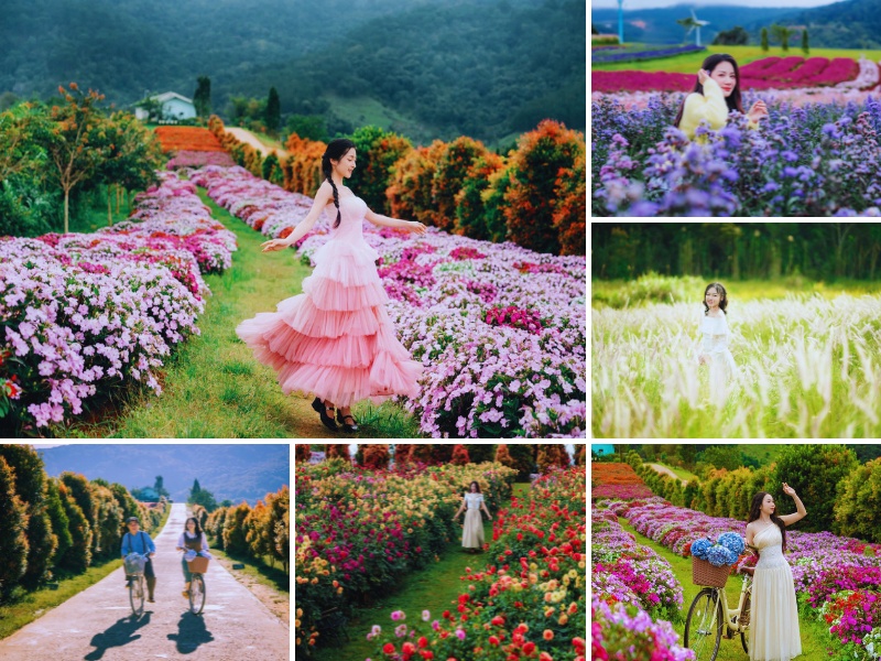 Tour du lịch Đà Lạt vào Tết Nguyên Đán