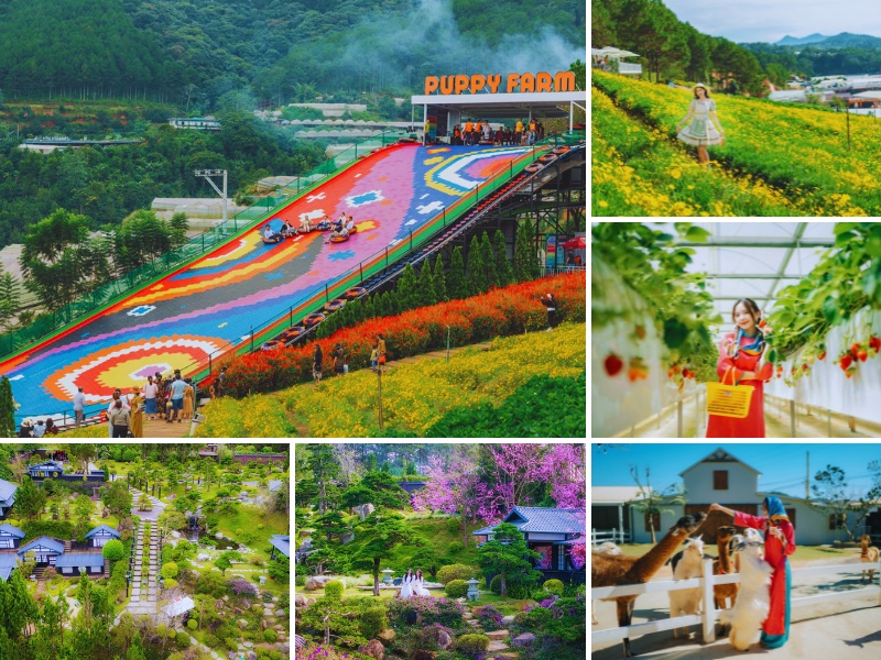 Tour du lịch Tết Đà Lạt