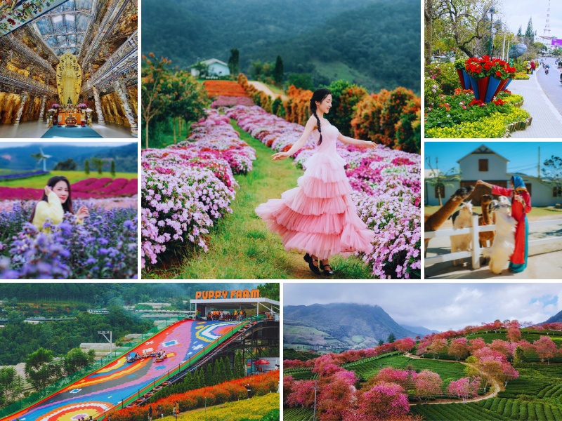 Tour Tết Nguyên Đán Đà Lạt