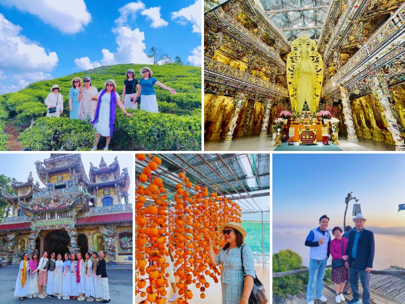 Cô chú tham quan Đồi chè Cầu Đất Chùa Linh Phước và Vườn hồng treo gió tại Đà Lạt