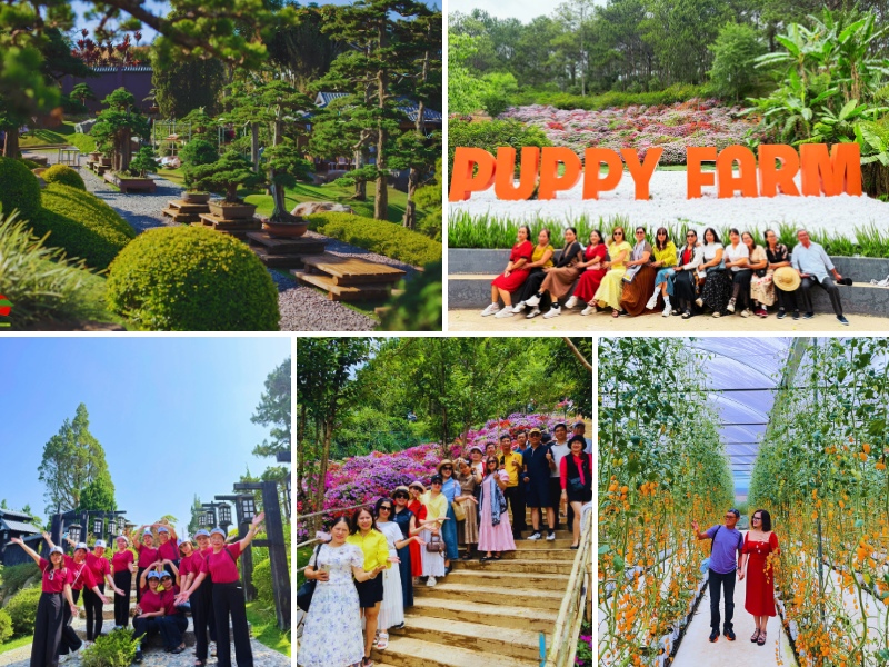 Cô chú trung niên tham quan QUE Garden và Puppy Farm trong tour Đà Lạt cho người lớn tuổi