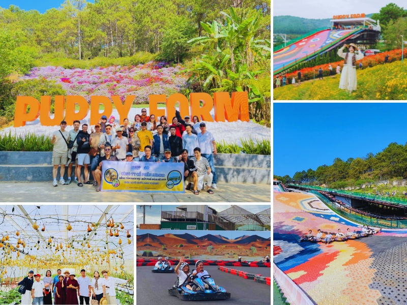tour đoàn công ty tham quan Đà Lạt