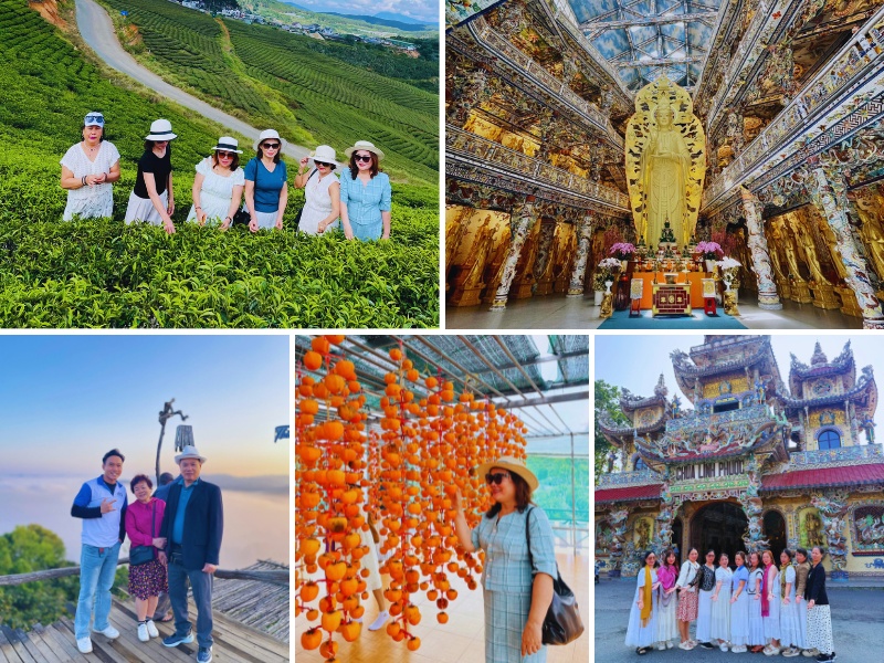 Gia đình tận hưởng không khí trong lành tại đồi chè Cầu Đất, tham quan chùa Linh Phước và khám phá vườn hồng treo gió
