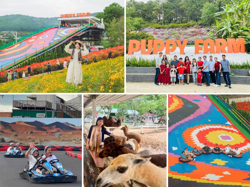 tour du lịch Đà Lạt cho gia đình