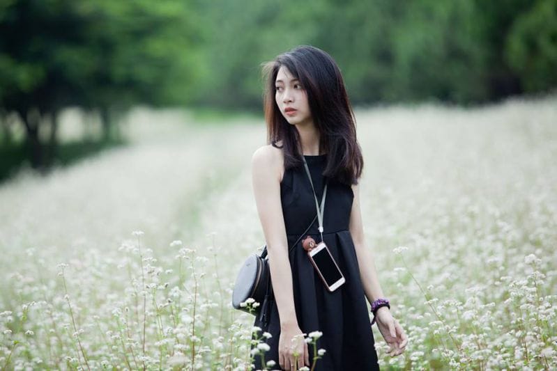 Đà Lạt Milk Farm hình ảnh cô gái đang tự tin chụp hình trên cánh đồng hoa ở Đà Lạt Milk Farm