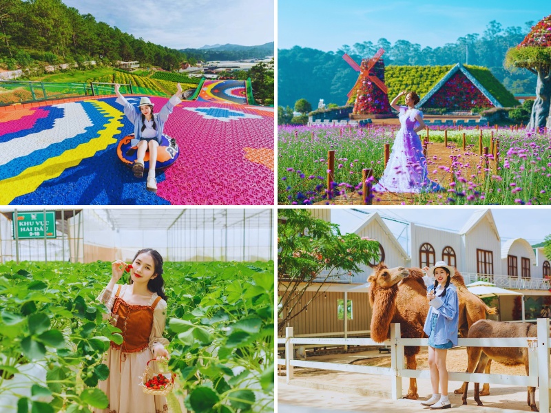 tour đi Đà Lạt từ TP HCM