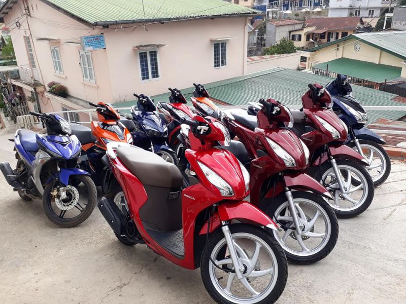 Cung cấp dịch vụ cho thuê xe máy ở Đà Lạt