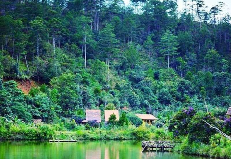Lang cù lần ở Đà Lạt