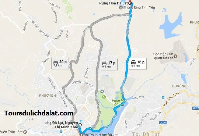 rung hoa kho da lat