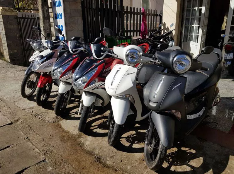 Chuyên cho thuê xe máy Đà Lạt giá rẻ thuê xe máy ở Đà Lạt