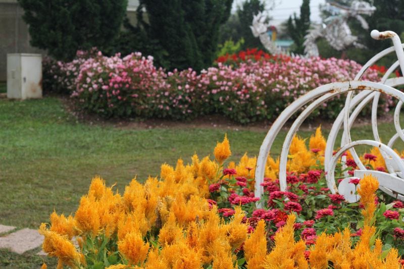 vuon hoa da lat, vuon hoa thanh pho da lat