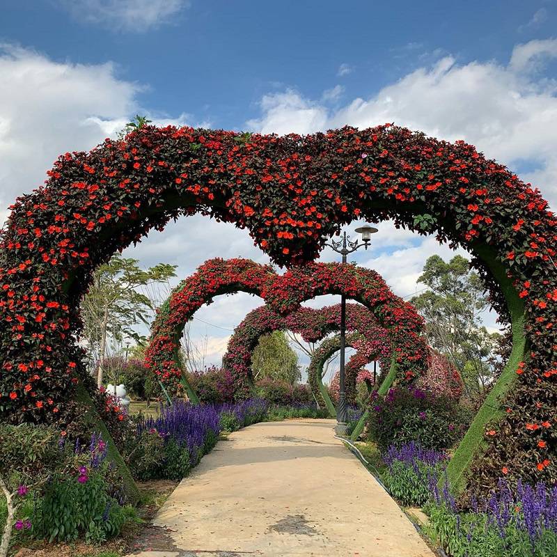 Vườn hoa Đà Lạt: Khám phá vườn hoa Đà Lạt thơ mộng như trong cổ tích với hàng trăm loài hoa khác nhau và kiến trúc Pháp cổ điển. Vườn hoa là nơi thư giãn tuyệt vời cho những người đam mê thiên nhiên và nhiếp ảnh.