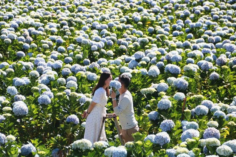 Chương trình tour du lịch tại Đà Lạt