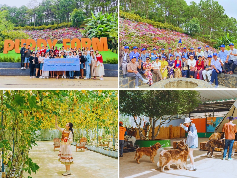 tour Đà Lạt từ Đà Nẵng