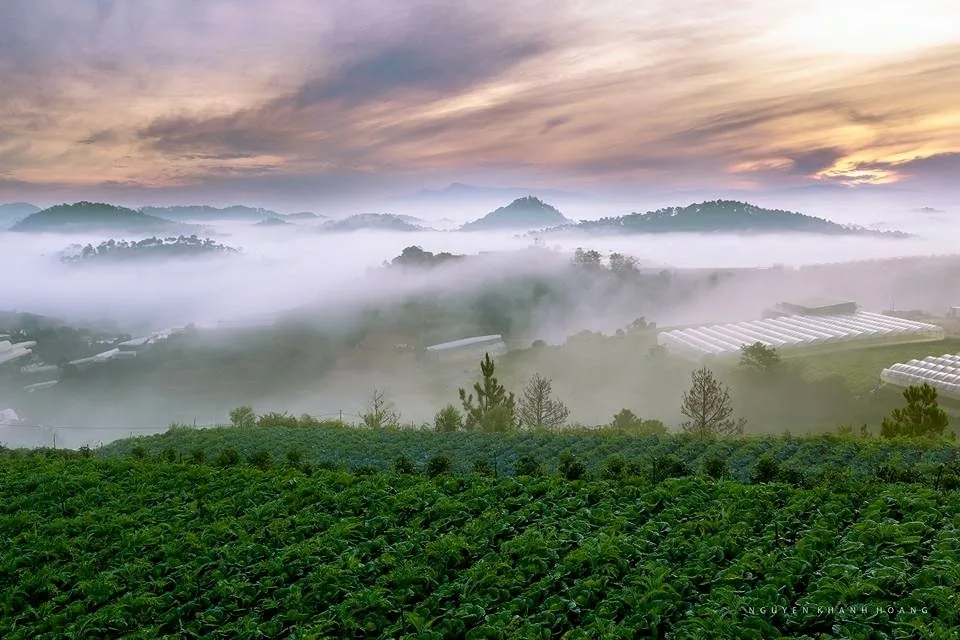 Thời tiết Đà Lạt tháng 1 anh dep da lat