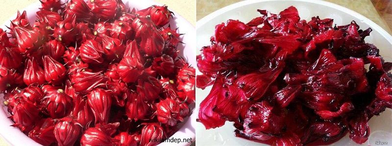 Đặc sản mứt hoa hồng làm từ hoa Atiso Đà Lạt Mứt hoa hồng Đà Lạt được làm từ hoa Atiso là một thức ăn rất tốt cho sức khỏe của bạn