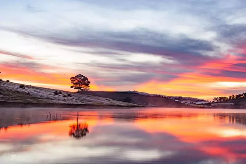 Hình ảnh Đà Lạt tháng 1 đẹp