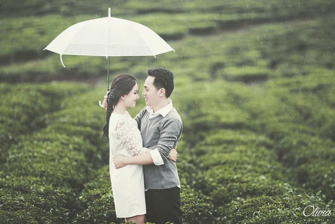 Đồi chè Cầu Đất, địa điểm du lịch miễn phí ở Đà Lạt Địa điểm du lịch miễn phí, đồi chè Cầu Đất Đà Lạt