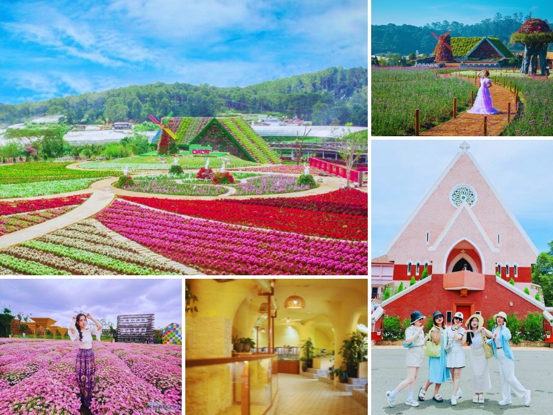 tour Đà Lạt 3 ngày 2 đêm khởi hành từ Hải Phòng