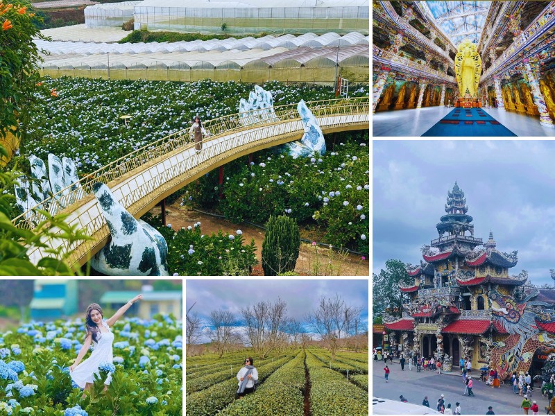 tour Hải Phòng Đà Lạt