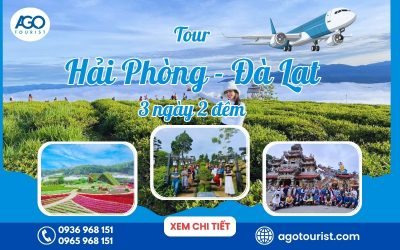 tour Hải Phòng Đà Lạt 3 ngày 2 đêm