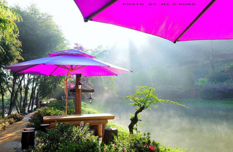 kdl ma rừng lữ quán ở Đà Lạt