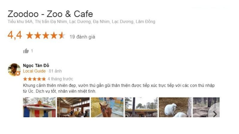 video đánh giá zoodoo đà lạt