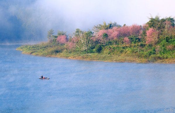 Tour ghép tham quan nội thành Đà Lạt.