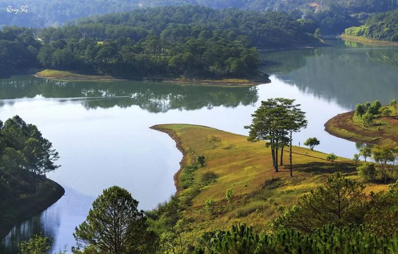 Mot goc ho tuyen lam da lat