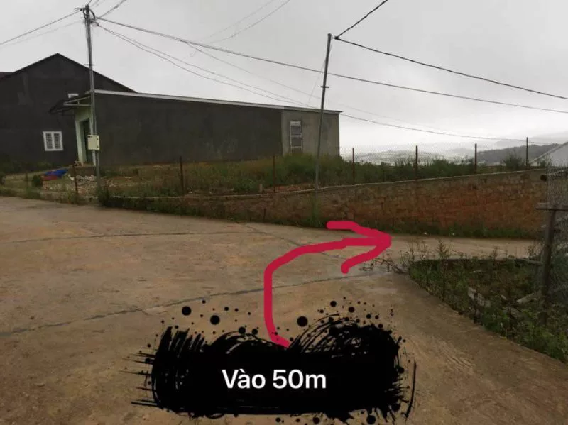 đi vườn hoa cẩm tú cầu đà lạt