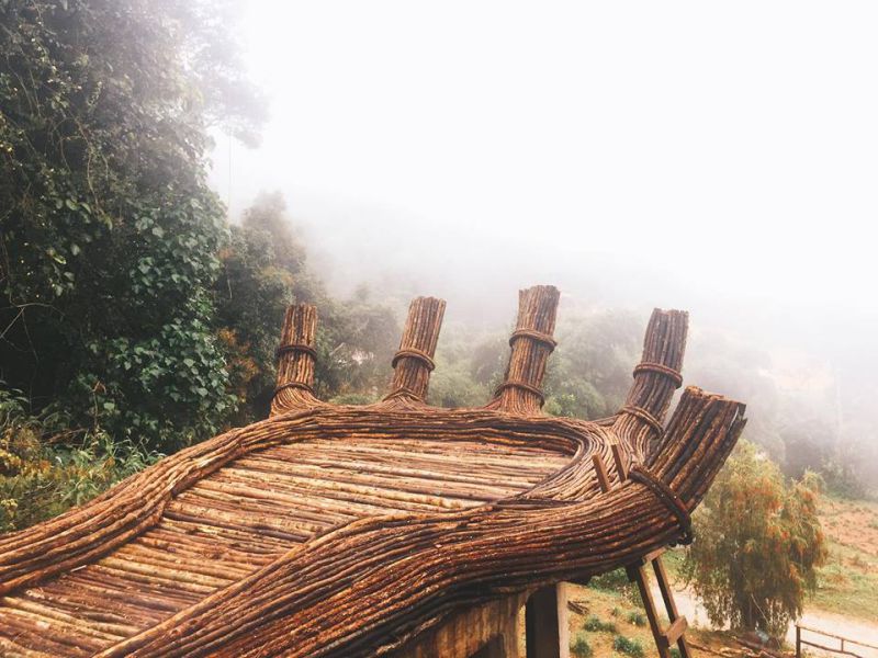 Hoa sơn điền trang ở Đà Lạt đang rất hot.