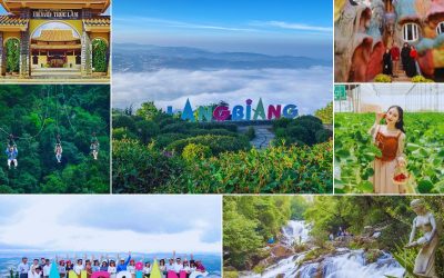 tour đà lạt 1 ngày langbiang