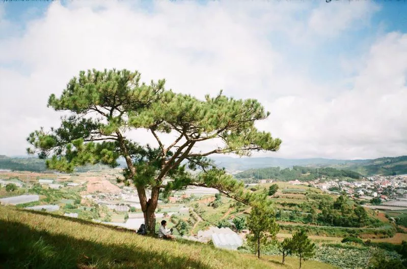 Cắm trại Đà Lạt
