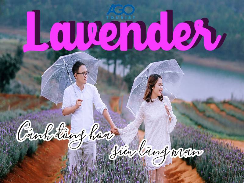 Khám phá 2 cánh đồng hoa Lavender đẹp nhất ở Đà Lạt (2021)