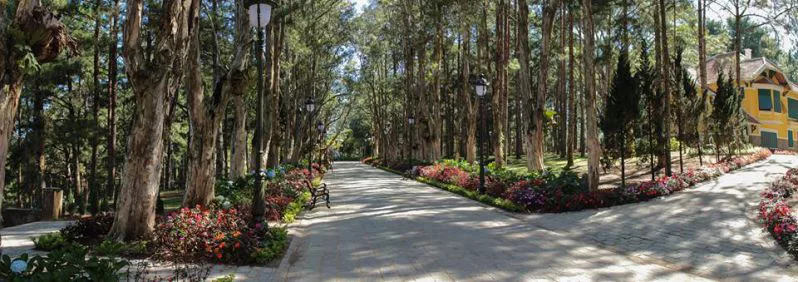 Dinh 1 Đà Lạt đường vào Dinh 1 Đà Lạt đường vào