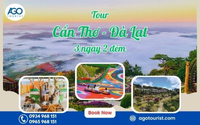 Tour Cần Thơ Đà Lạt 3 ngày 2 đêm