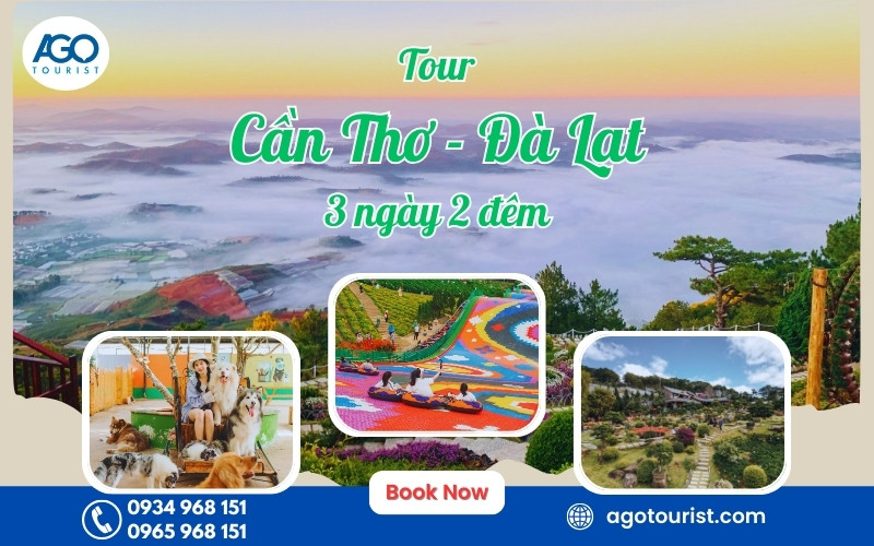 Tour Cần Thơ Đà Lạt 3 ngày 2 đêm | Khởi hành hằng ngày