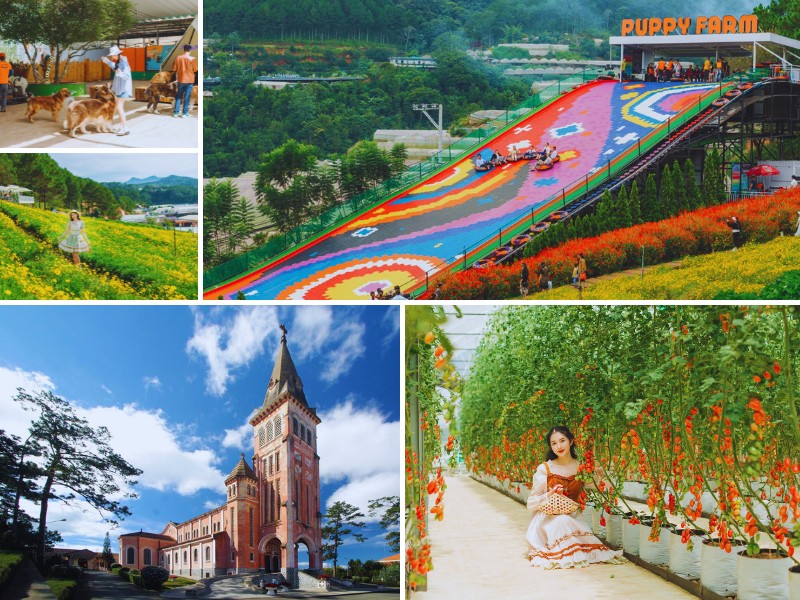 Tour Đà Lạt 3 ngày 2 đêm từ Cần Thơ