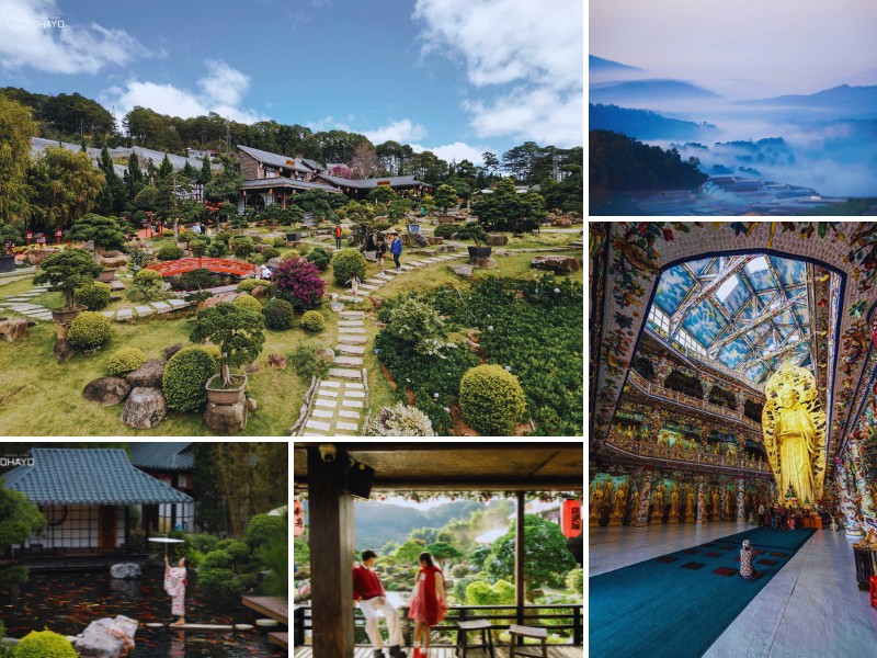 tour du lịch Cần Thơ Đà Lạt 3 ngày 2 đêm