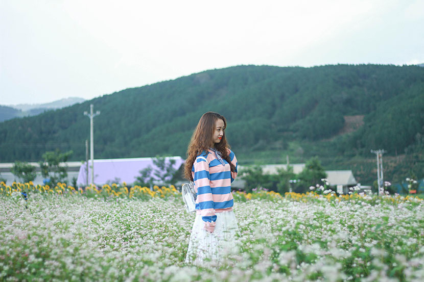 tour tham quan đà lạt 1 ngày