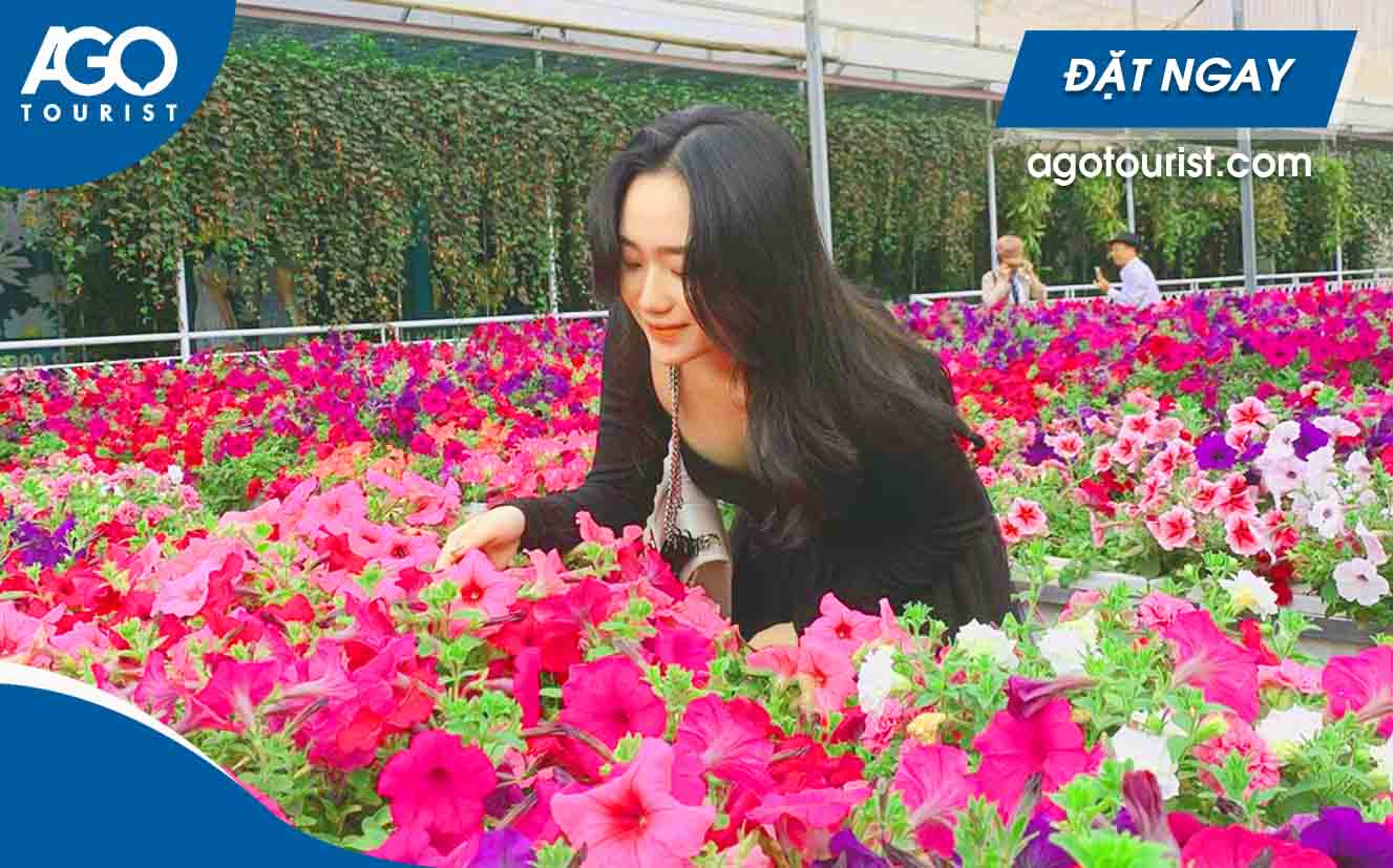 Tour ngoại thành Đà Lạt